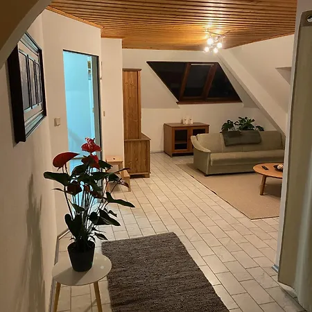 Apartment Grosse Mit Altstadtnaehe Garsten