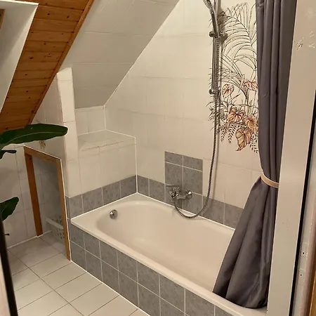 Apartment Grosse Mit Altstadtnaehe Garsten